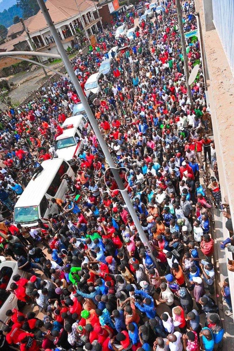 BOBI WINE tweet media