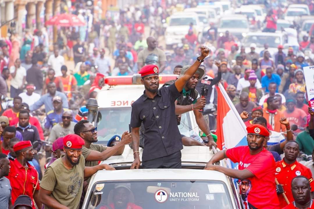 BOBI WINE tweet media