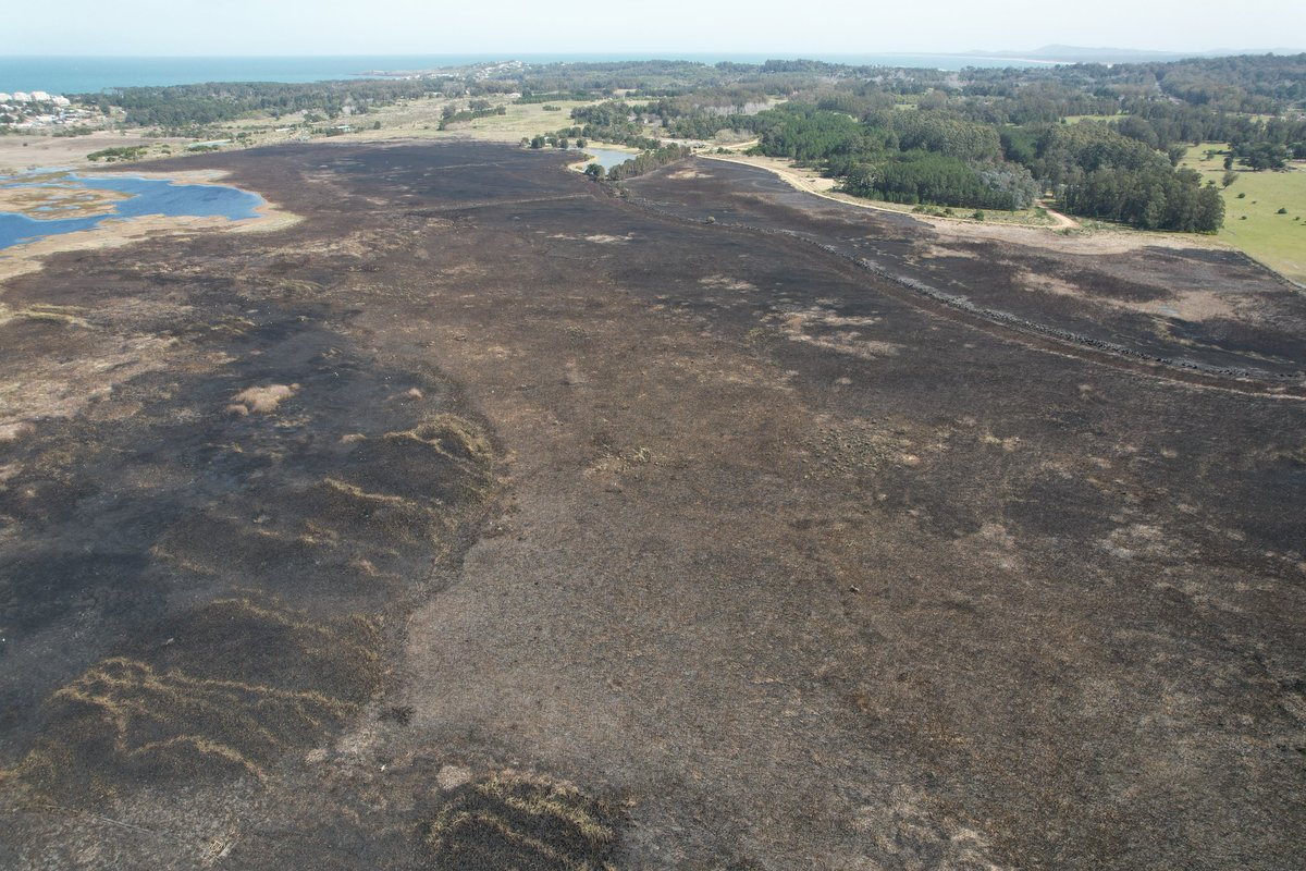 emekavoces's tweet photo. 🔴🔥#Maldonado Tristeza absoluta por cómo quedó todo el humedal de Laguna del Diario, arrasado literalmente por las llamas. Estamos viendo con @Diegitoperdomo mientras esperamos en la zona, decenas de garzas y aves que sobrevuelan su ecosistema natural, del que sólo quedó vegetación carbonizada.