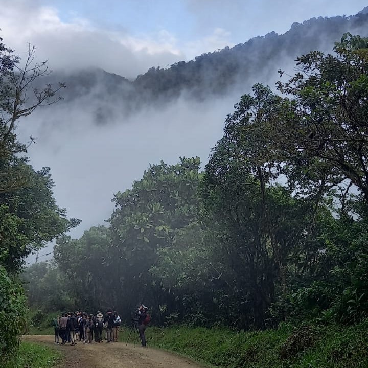 AngMarAmaVi's tweet photo. ¡Hola pajareros(as)!
Hace 6 meses inició nuestro proyecto sobre las motivaciones de las personas para pajarear en Colombia y estamos muy agradecidos con quienes han respondido la encuesta respectiva. Sabemos que ha sido con mucho entusiasmo ¡Mil gracias si ya participaste!1/3⬇️🪶 https://t.co/PAAFcysGg0