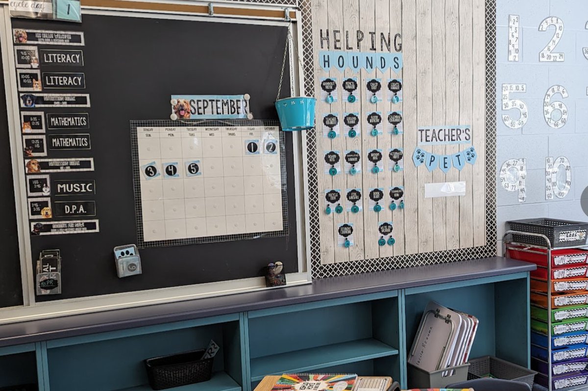 Can you guess my new classroom theme? I'm hoping it helps to create a pawsitive atmosphere! 🐾🐕‍🦺🐶
