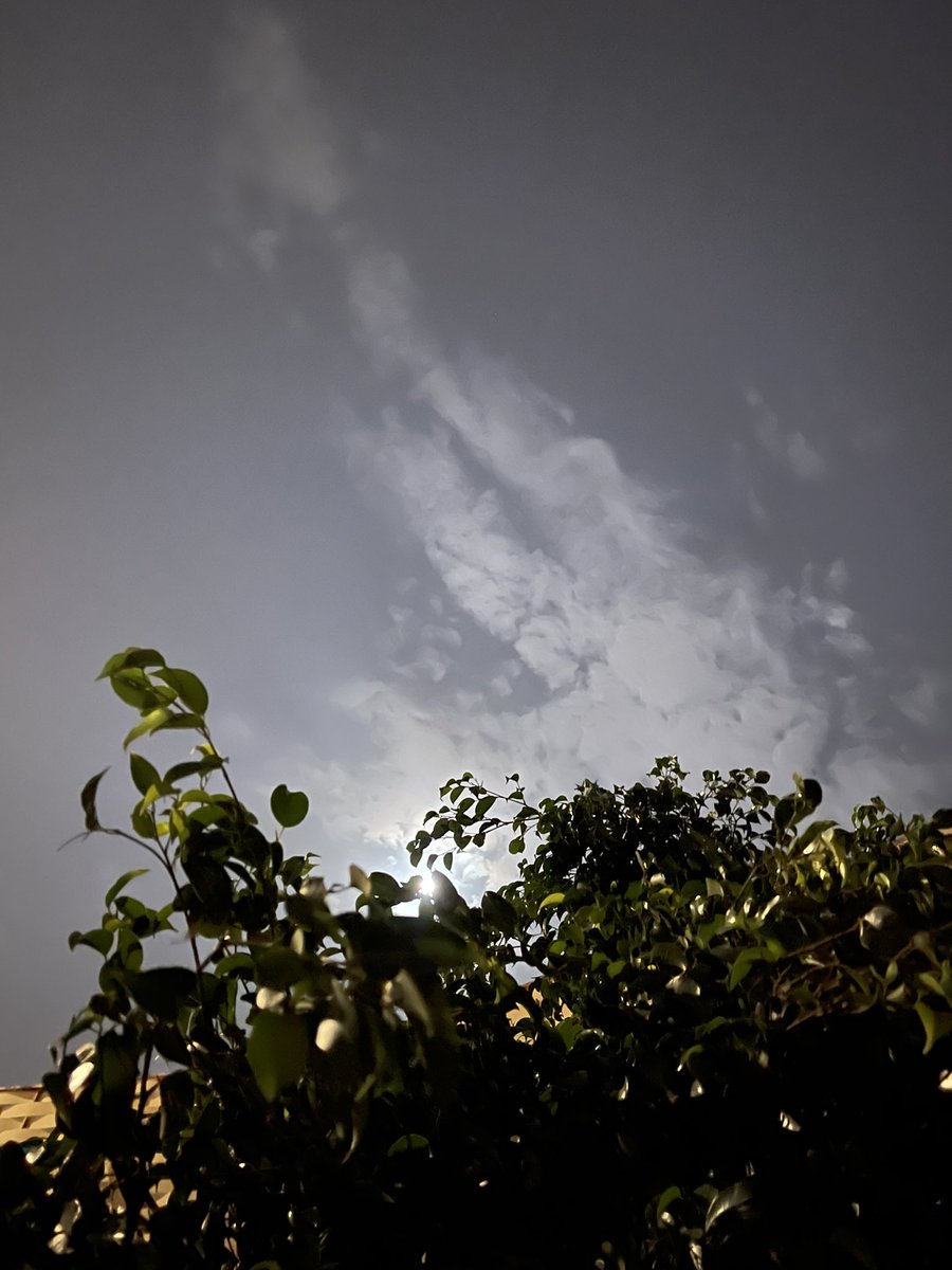 cloud. tweet media