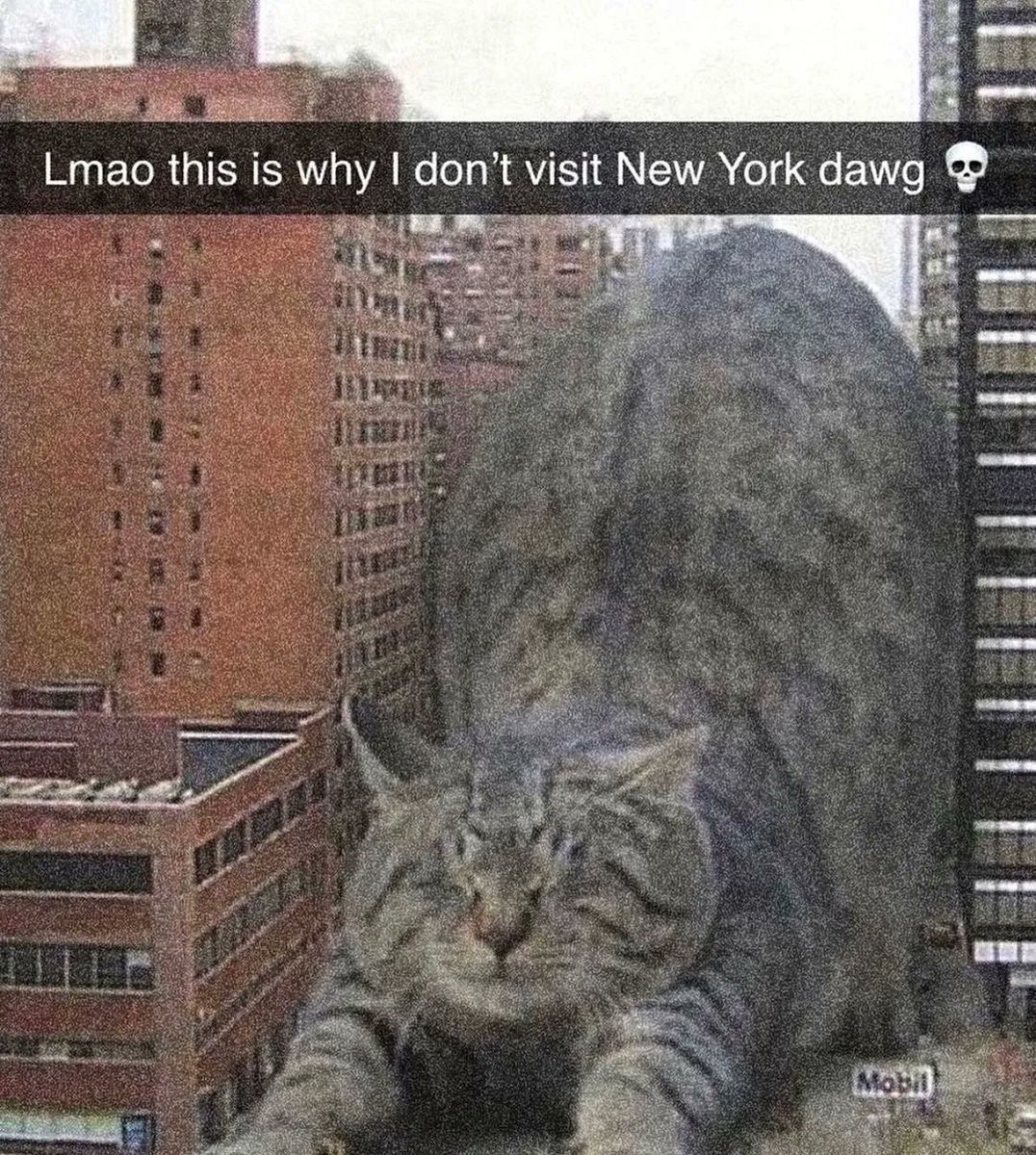 🕐HOURLY🕑 shitpost tweet media