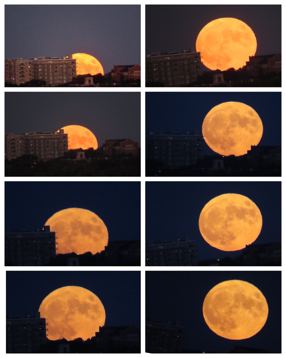 DenverChannel's tweet image. "Super Blue Moon rising over Denver."

📸: Judy Sedbrook - Discover Colorado | Through your photos