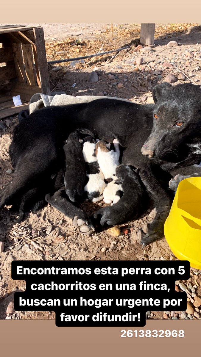 Porfa difundir🙏🏻🙏🏻🙏🏻