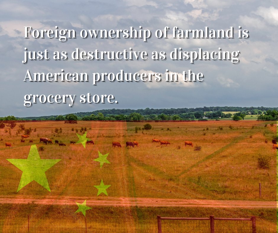 uscattlemen's tweet photo. "Displacing American farmland owners is just as destructive as displacing American agricultural producers on grocery store shelves and in consumer households," writes USCA president Justin Tupper.

Do you agree? https://t.co/p88pEWTEQa