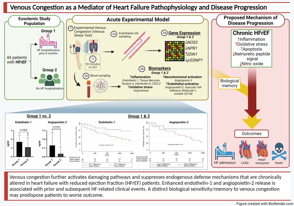 Keep them dry, keep them happy. Experimentally-Induced Peripheral Venous Congestion Exacerbates Inflammation, Oxidative Stress, Neurohormonal and Endothelial Cell Activation in Systolic Heart Failure Patients - Journal of Cardiac Failure onlinejcf.com/article/S1071-…