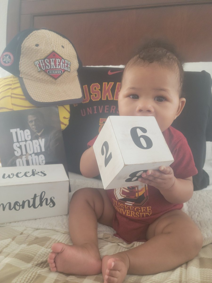 Tomahawk tweet media