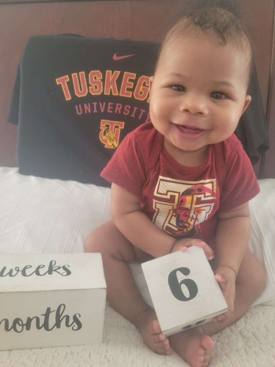 Tomahawk tweet media