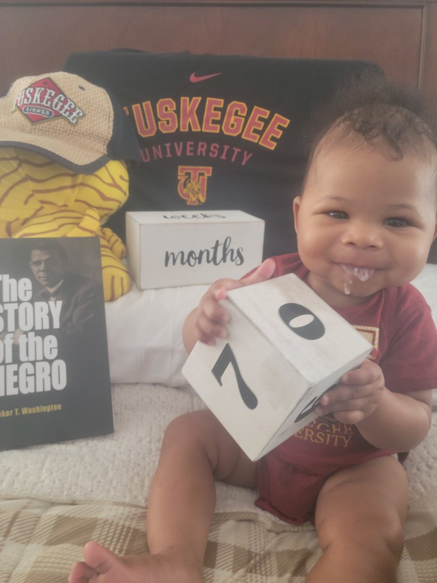 Tomahawk tweet media