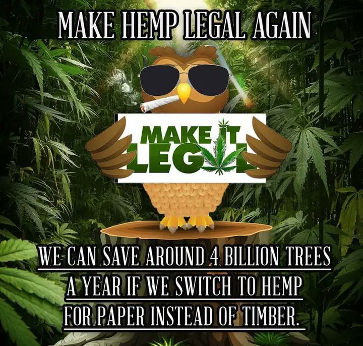 #GodzWeedz #DankDude #RealAmericanStoner #PeaceLoveAndHippieBeadz #MakeCloudz #SmokeTokeChoke #LegalizeIt #Medz4Headz #Weed #OneLove #Dank #THC #pEaCe #Hippie

HEMP was meant to be used. It detoxifies soil and is a faster renewable than that ancient hardwood. 🌱