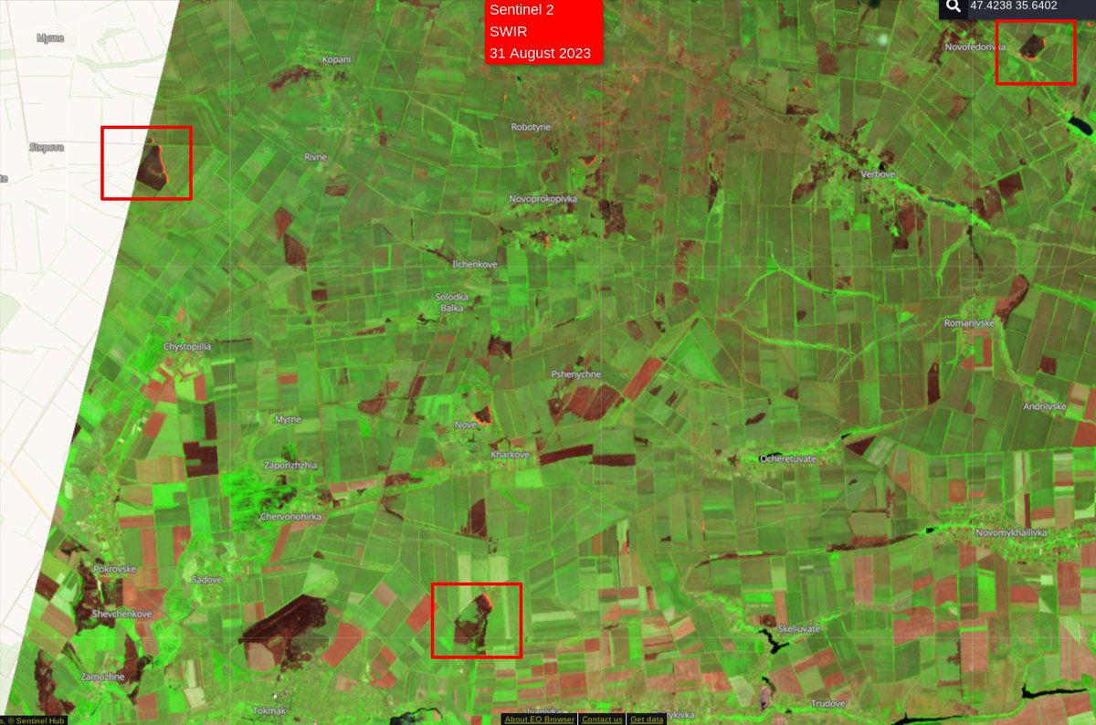 David Helms tweet media