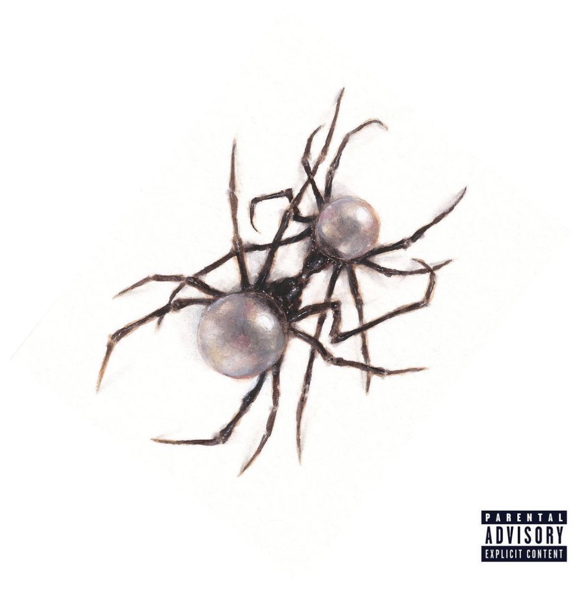 dojacatchile's tweet photo. Doja Cat vía Instagram con la portada “actualizada” de su cuarto álbum de estudio “Scarlet” 🕷️ https://t.co/KrjMk9Kc3V
