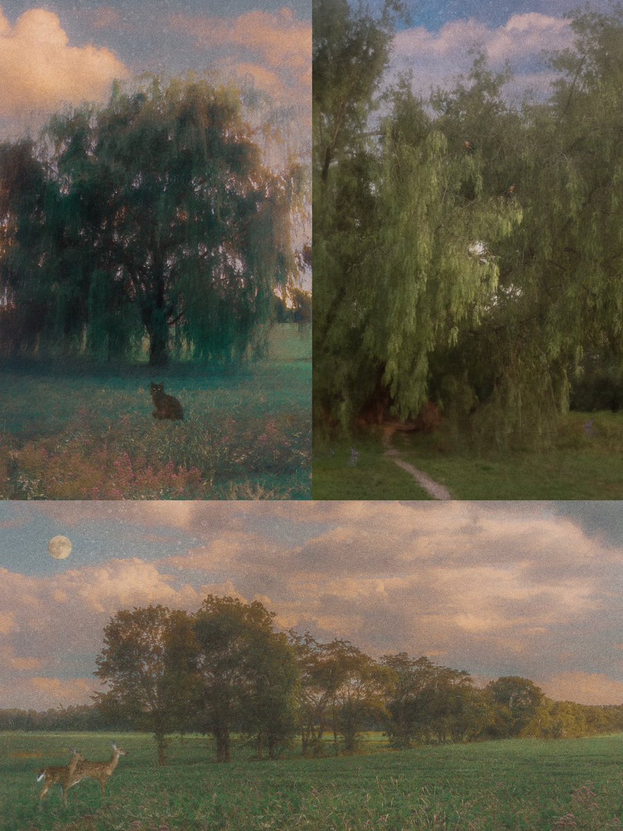 as the air cools and the light fades