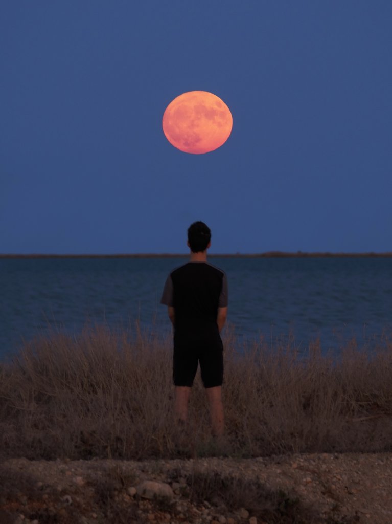 Sortida de lluna per la barra del Trabucador.
<a href="/catexperience/">Catalunya Experience</a> <a href="/terresebretur/">Terres de l'Ebre</a> <a href="/TurismeLaRapita/">Turisme la Ràpita</a>