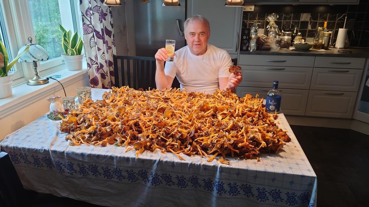 en_trollunge's tweet photo. годы идут, все меняется, а шведский грибник julle все так же отмечает свои впечатляющие уловы бокальчиком чего-нибудь хорошего - ужасно радуюсь каждому его посту в грибной ленте) https://t.co/fJkxplUFDo
