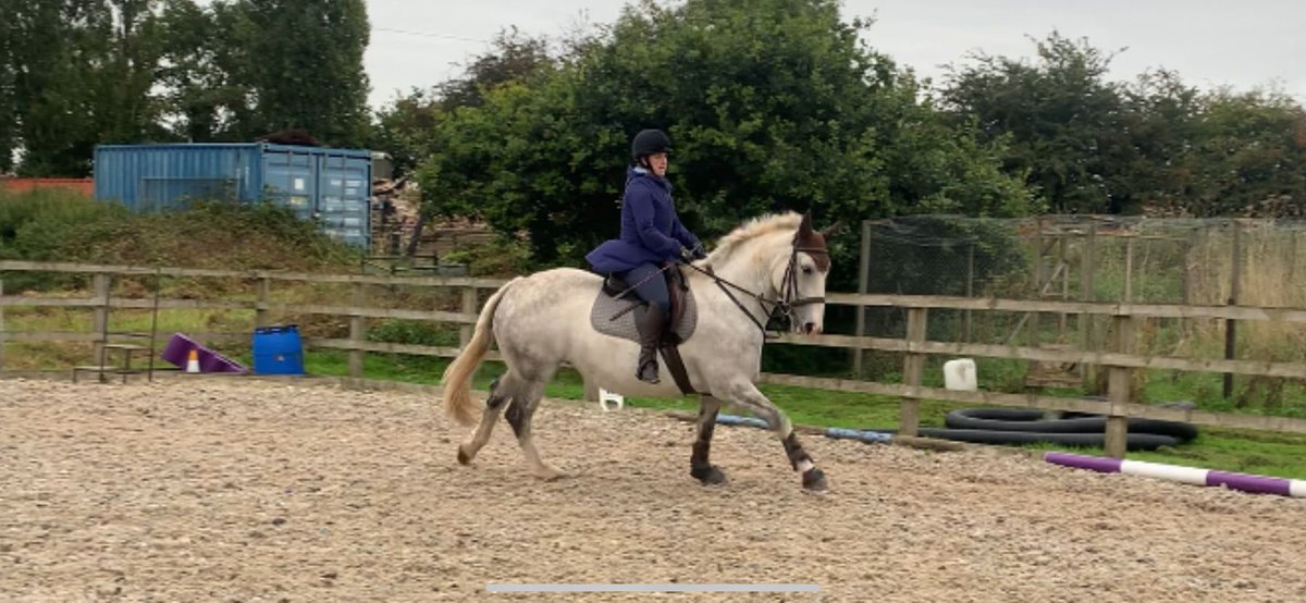 Last day #WeactiveChallenge TI Chloe and Clover’s 45 min schooling session #AHPsActive