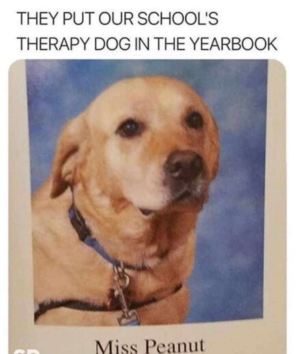 RespectfulMemes's tweet photo. https://t.co/L5cxHtDrQj