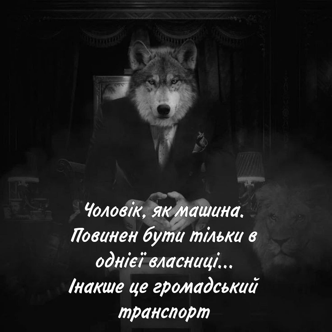 інфернальна кошкожіꑭка🦇🌹 (@julnechytai) on Twitter photo 