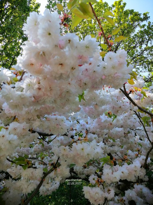 Apapun yang terjadi, tetaplah bernafas.