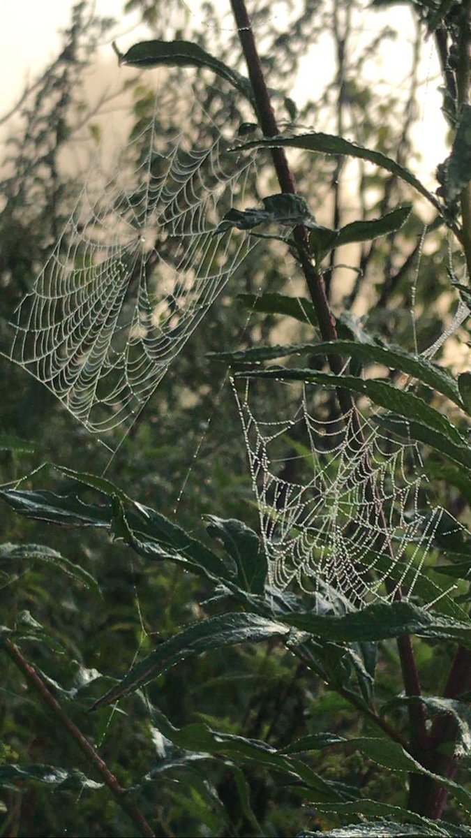 Autumn will come in my city in 4 hours...🍂🕸️

By the summer I have not had time to lose weight, I will prepare for Halloween🎃😂😂