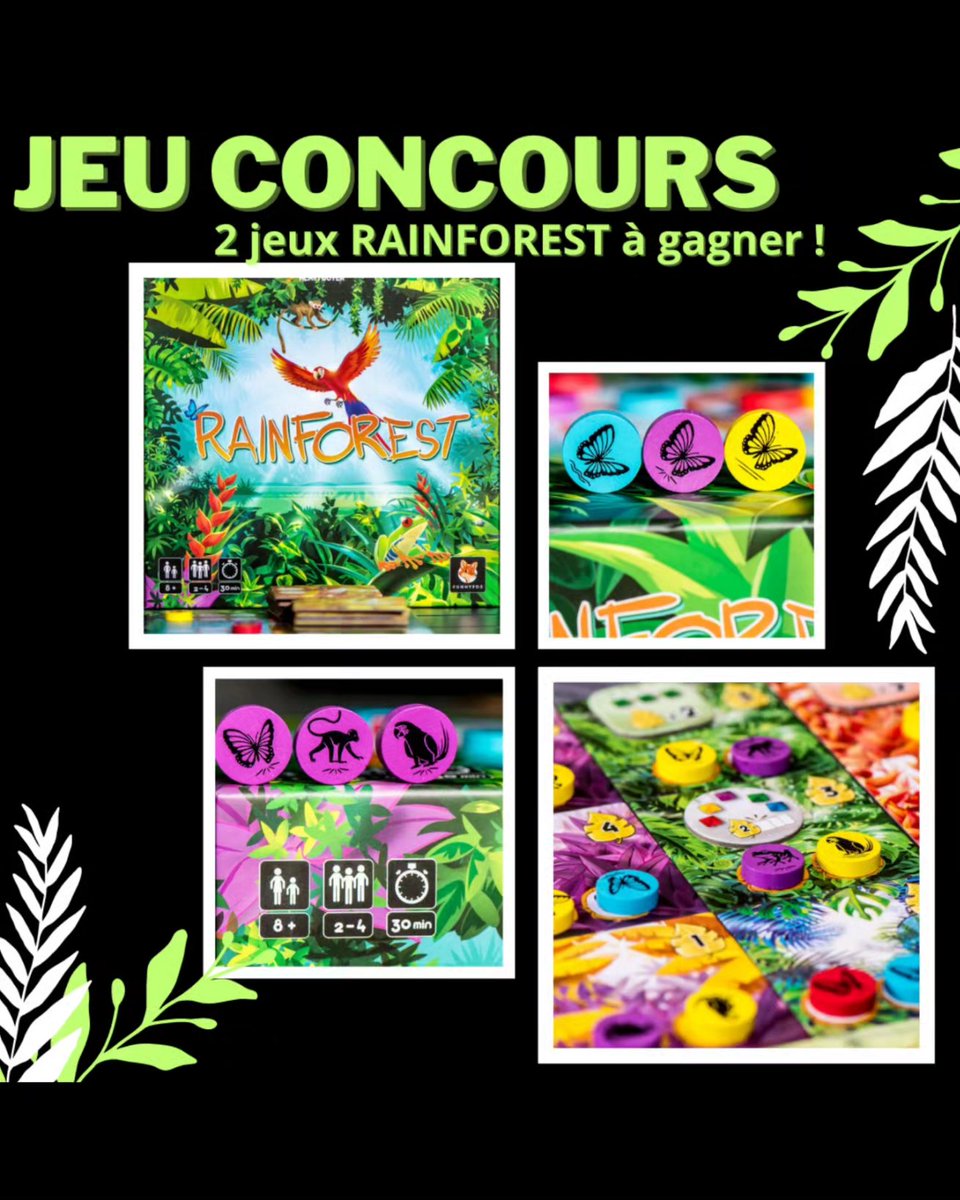 adayagame's tweet photo. 🐒🦜🎁 Rainforest vient de sortir sur @BoardGameArena , pour l'occasion 2 boîtes de jeux sont à gagner, offertes par leur editeur @FunnyfoxGames ! 
➡️ Ça se passe sur notre insta et celui des copains Jeuxatheme si ça vous dit !😉🦊🤞.  #Concours #JeuConcours #j2s #jeux https://t.co/aVAnVWcx2r