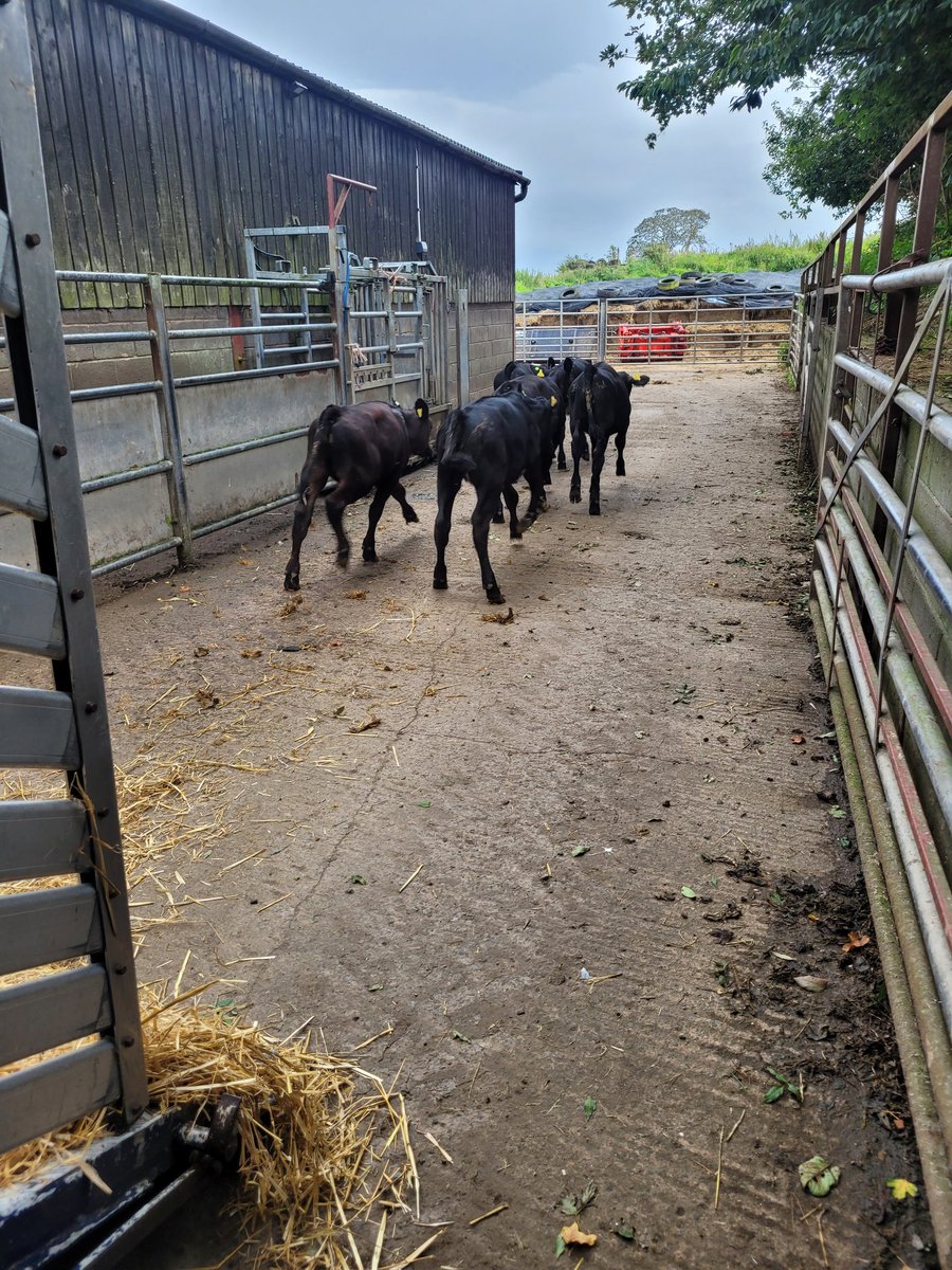 Mathew Roberts tweet media