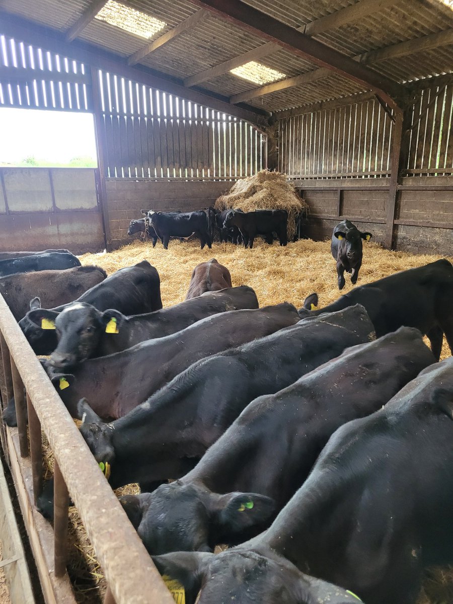 Mathew Roberts tweet media