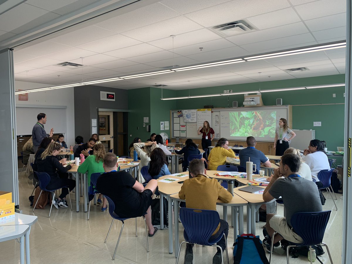 Kozman71's tweet photo. Day 2 of Setting up for Success! Attendees engaged in grade level sessions in Building your Classroom Community and Environment, co-planned and co-delivered by District staff from both @SD35IS and @SD35LSS @LangleySchools https://t.co/TU1eHmGU3N