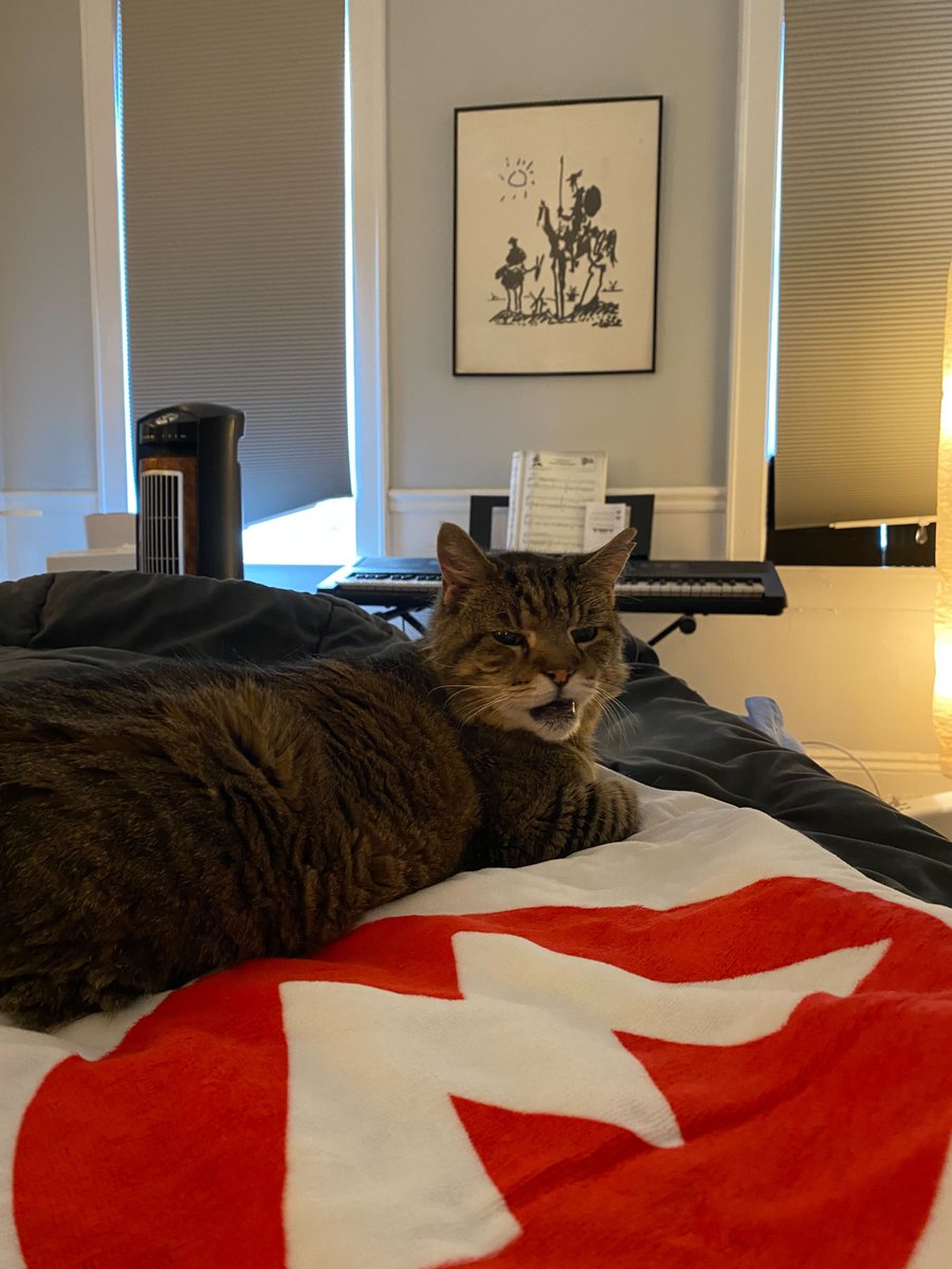 .@SeanECarl and his cat Poopy are big fans of the WNYC beach towel. During these final days of summer, you can sport your own at the pool or beach by by donating to WNYC and supporting the station you love. Snag your beach towel today: wnyc.org/join