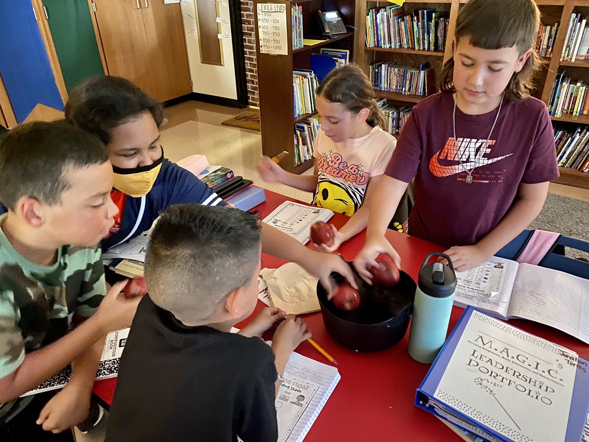 Madison Wittmayer tweet media