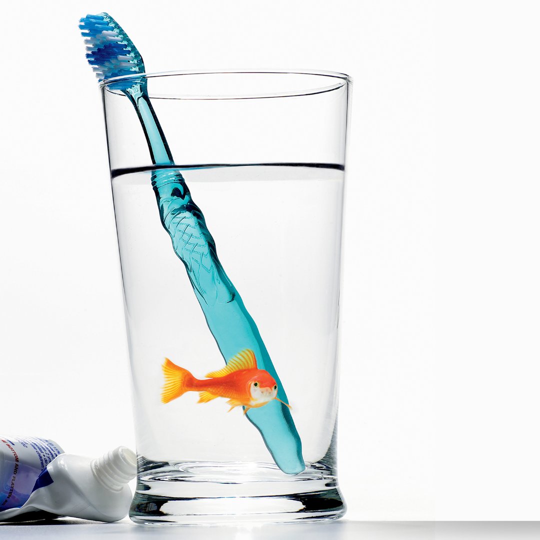 It’s o-Fish-cial, brushing your teeth is important. Keep your teeth healthy by brushing every day!

#dentalhealth #brushyourteeth #dentalhygiene #omaha #pets #fish #Dentist