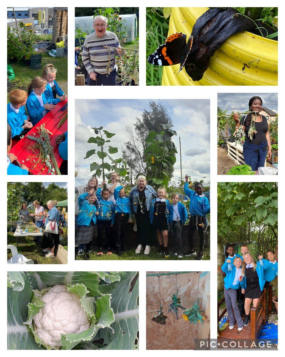 Suzie Wilson FARE (@suzieq1402) on Twitter photo Thx <a href="/AngelaSmith_xo/">Angela Smith</a> & visitors frm England @RHSBloom .Always a pleasure . Nice 2 C our now P5s . Lovely lunch & Therapy branches made with lavender eucalyptus chamomile rosemary . Thx all for coming .@RHSSchools
<a href="/oakwoodG34/">Oakwood Primary School</a> @Jimmy_FARE <a href="/PaulineFARE1/">Pauline McKenna</a> Thx <a href="/AngelaSmith_xo/">Angela Smith</a> & visitors frm England @RHSBloom .Always a pleasure . Nice 2 C our now P5s . Lovely lunch & Therapy branches made with lavender eucalyptus chamomile rosemary . Thx all for coming .@RHSSchools
<a href="/oakwoodG34/">Oakwood Primary School</a> @Jimmy_FARE <a href="/PaulineFARE1/">Pauline McKenna</a>