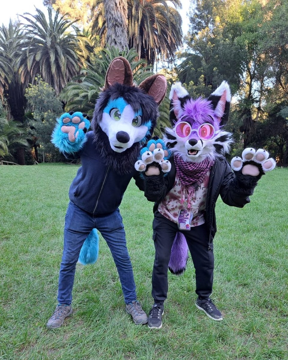 Daigon_Truzier's tweet photo. Two hybrid bois spotted at the biggest garden. W/ @NeoxMutt thanks for the pic 💜
#Fursuiteveryday https://t.co/MD6moEDkhc