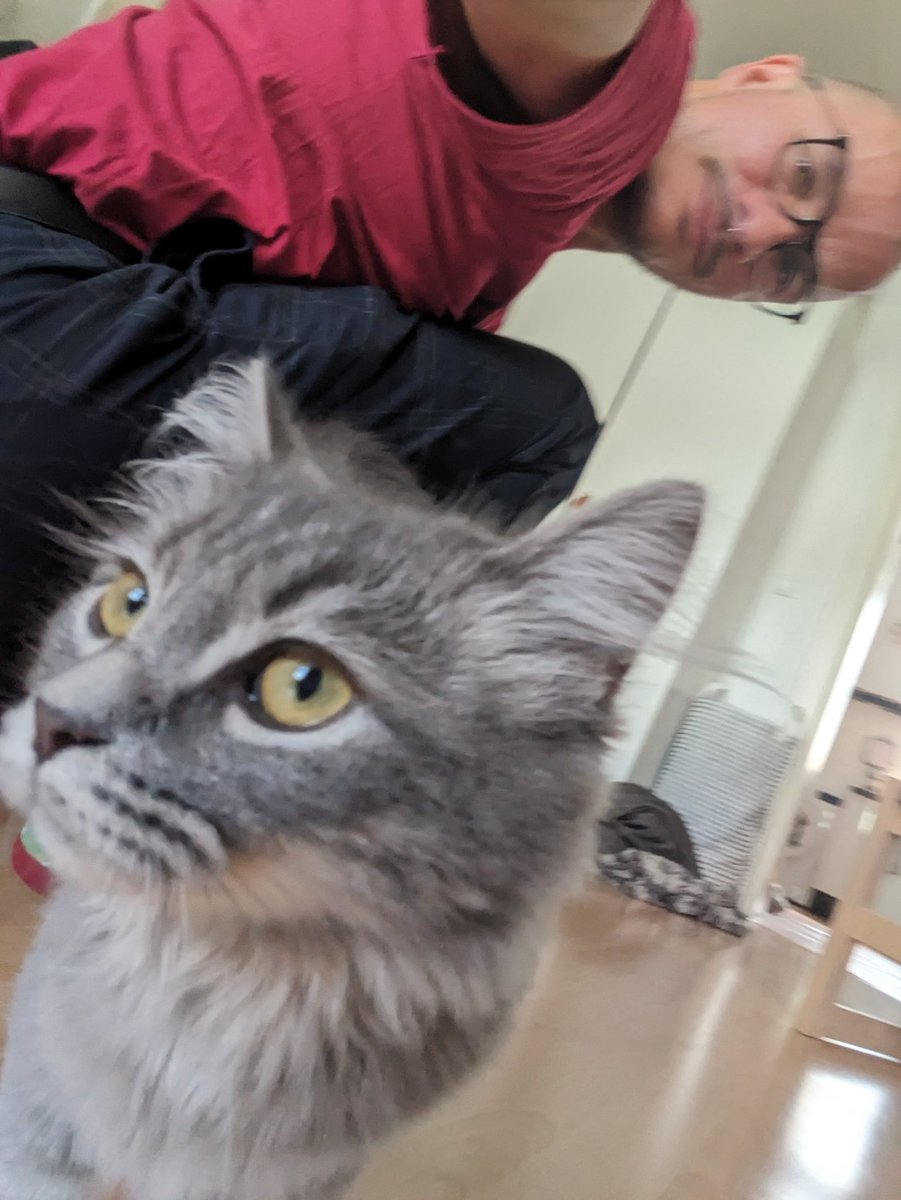 Robes Pierre tweet media