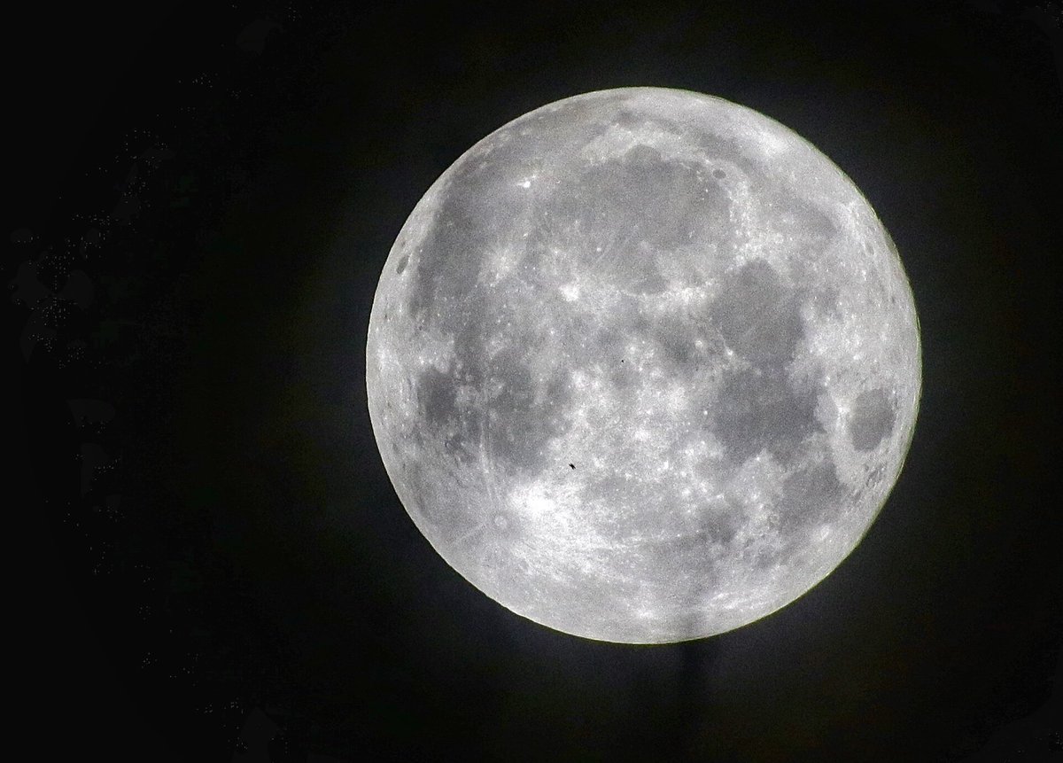 pvirgen's tweet photo. Luna
31/08/23
1:57am https://t.co/u47QQQSOkB