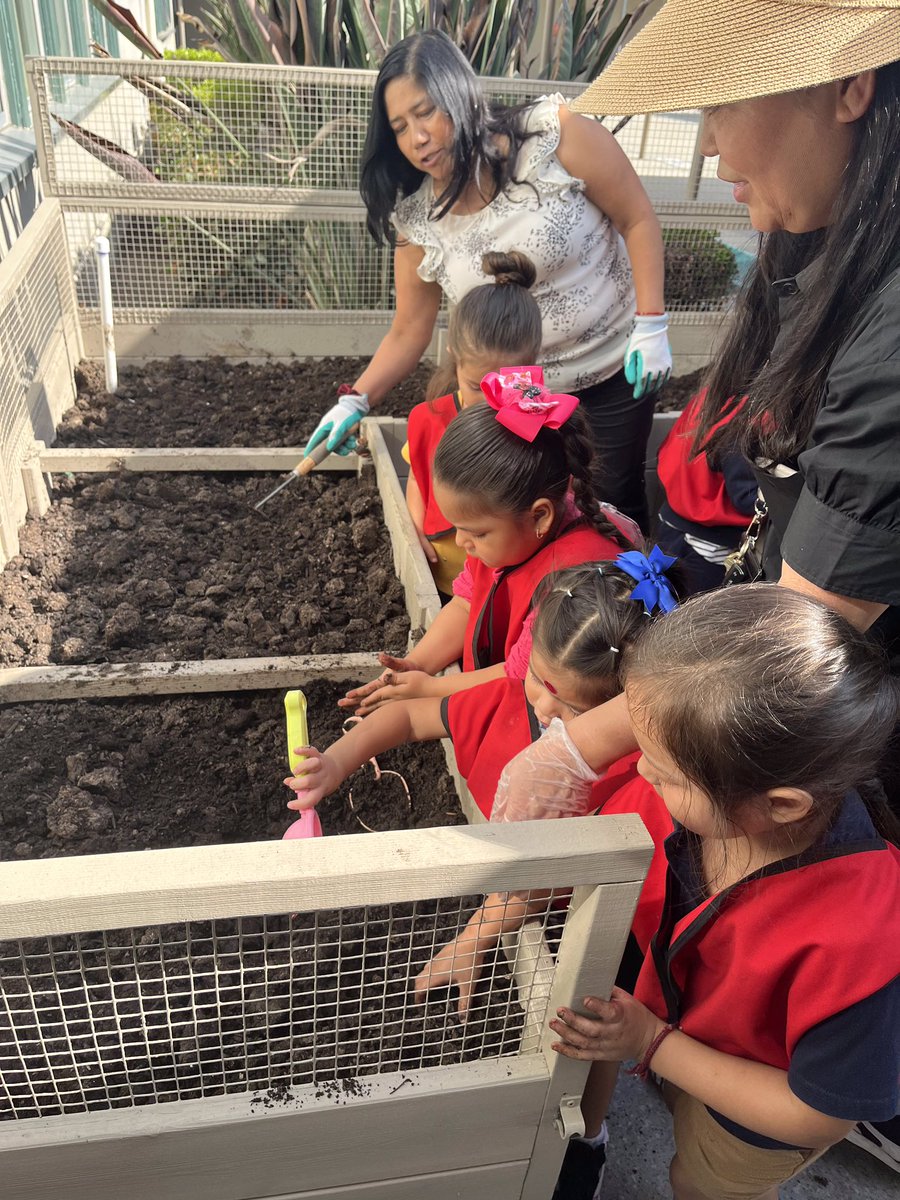 EdisonSAUSD's tweet photo. The preschool garden is coming along nicely! Good job @ecesausd scholars and teachers! #sausd #edisonsausd #edisoneagles #eaglepride #soaringeagles #WEareSAUSD #SAUSDSTRONG #BetterTogether https://t.co/YOaPjeB3fV
