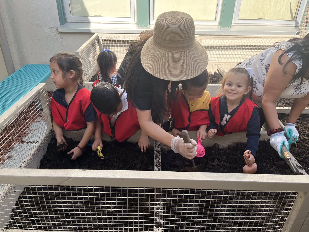 EdisonSAUSD's tweet photo. The preschool garden is coming along nicely! Good job @ecesausd scholars and teachers! #sausd #edisonsausd #edisoneagles #eaglepride #soaringeagles #WEareSAUSD #SAUSDSTRONG #BetterTogether https://t.co/YOaPjeB3fV