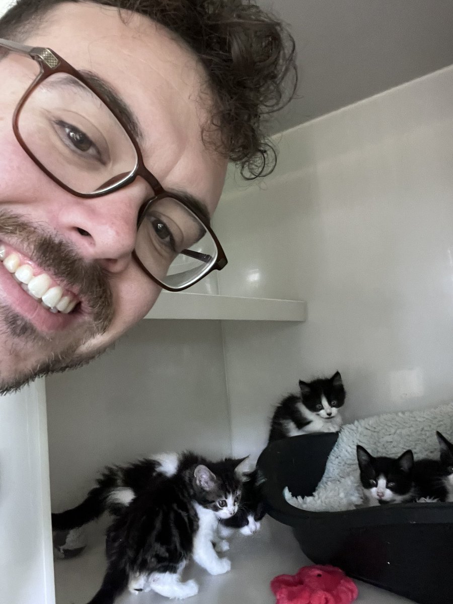 JoshFerronCP's tweet photo. Today I spent the day at @CPMansfield as a volunteer Rehoming and Welfare Assistant. I can safely say I learnt so much about what our dedicated #volunteers and staff do at our everyday to help care for and rehome #cats. I also got to spend some time with some absolute beauties. https://t.co/3gioaUvi5c