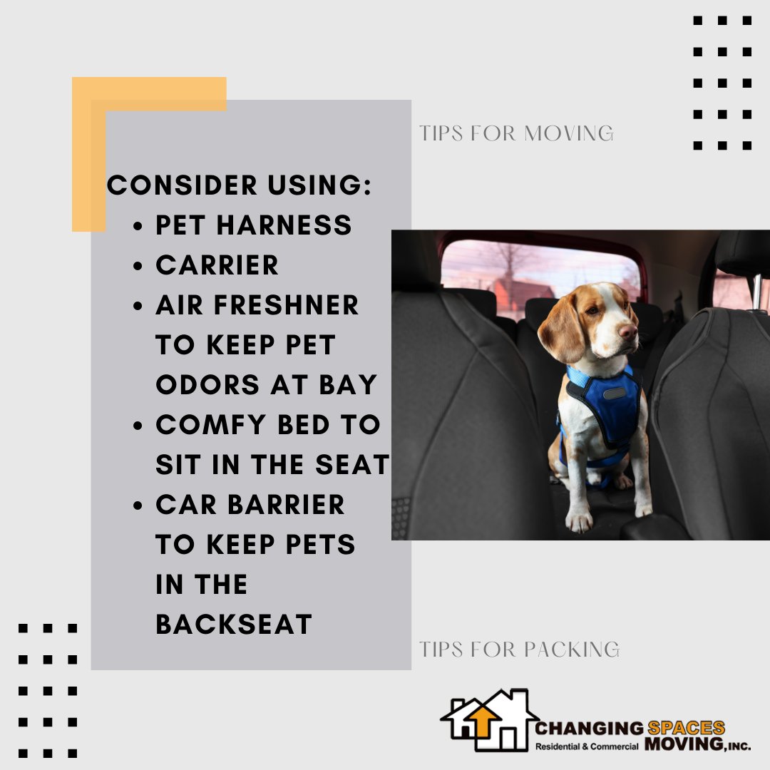 Moving with pets means transporting your pet with you. But, how do you prepare your car for transporting your pet? Here are some items that pet owners swear by that make the journey easier. #MovingTips #ChangingSpacesMoving