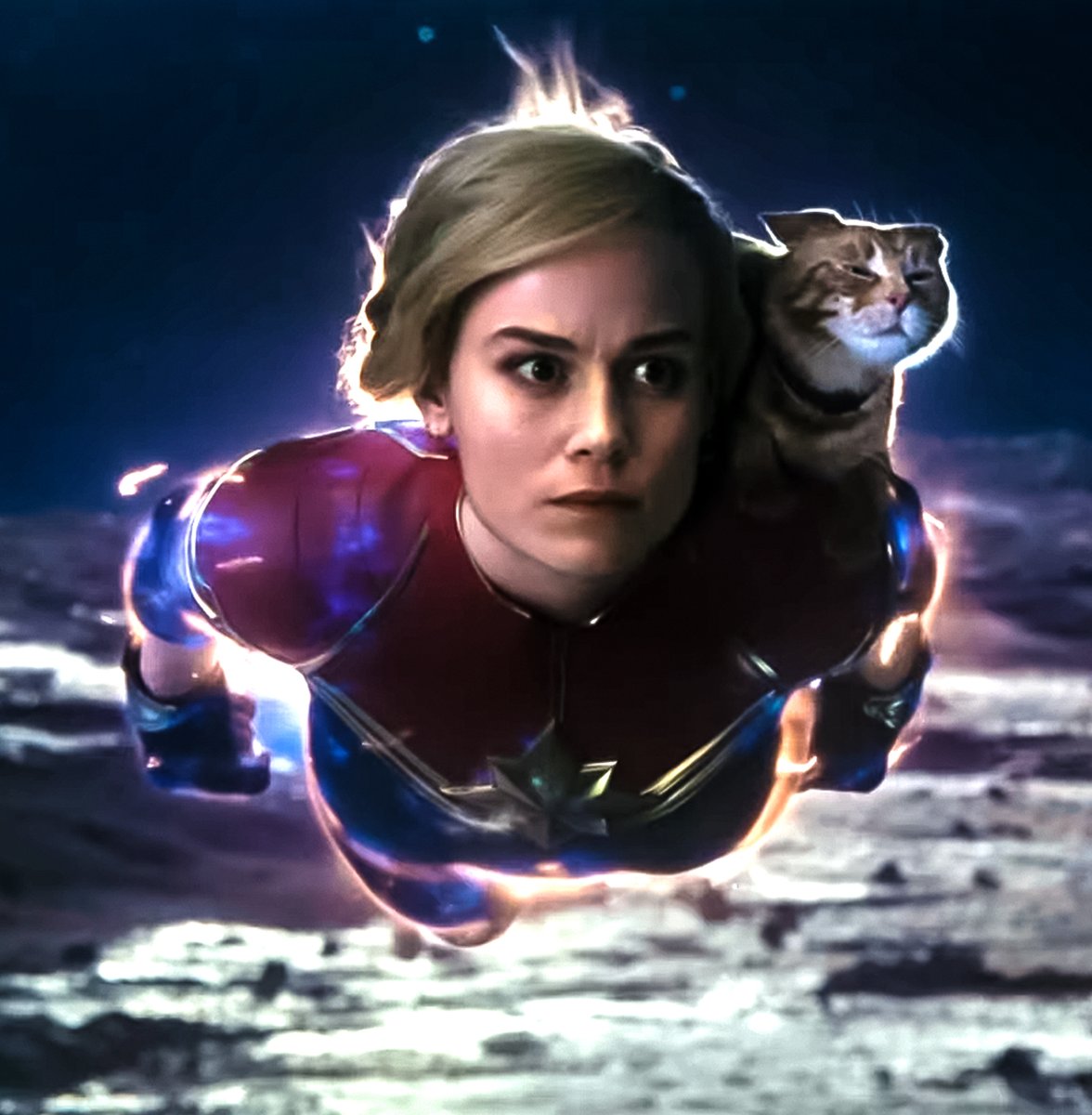 MCU_Direct's tweet photo. A new look at Carol &amp; Goose in #TheMarvels has been revealed in a fresh featurette! Watch: https://t.co/touhvrM777 https://t.co/F3wGleIztV