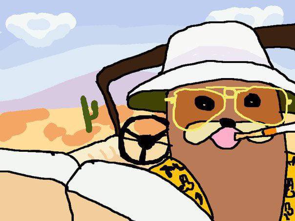 “No explanation, no mix of words or music or memories can touch that sense of knowing that you were there and alive in that corner of time and the world…

There was madness in any direction, at any hour… you could strike sparks anywhere. There was a fantastic universal sense