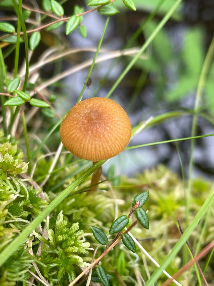 AppliedGRG tweet media