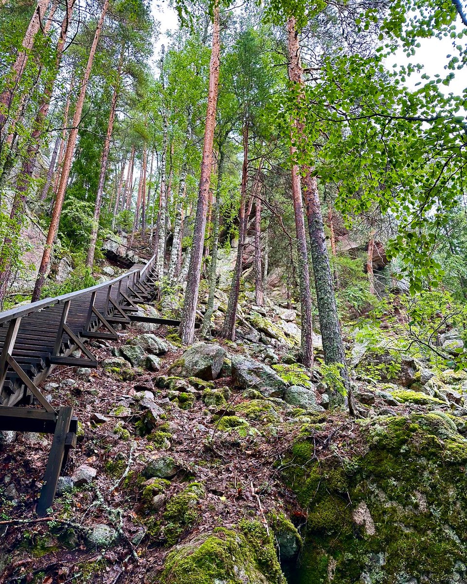 SannaJaas's tweet photo. Huippua päästä viimein käymään Repoveden kansallispuistossa. 
Tänne pitää päästä uudelleen💚 https://t.co/pW9KtzGhYK