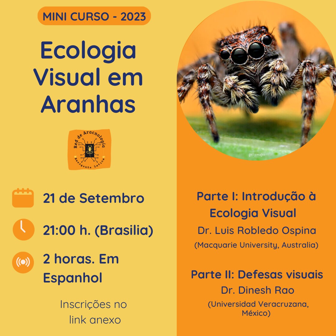 RAEL - Red de Aracnología Emergente Latina tweet media