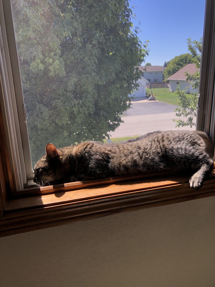 ﱞﱞﱞﱞﱞ tweet media