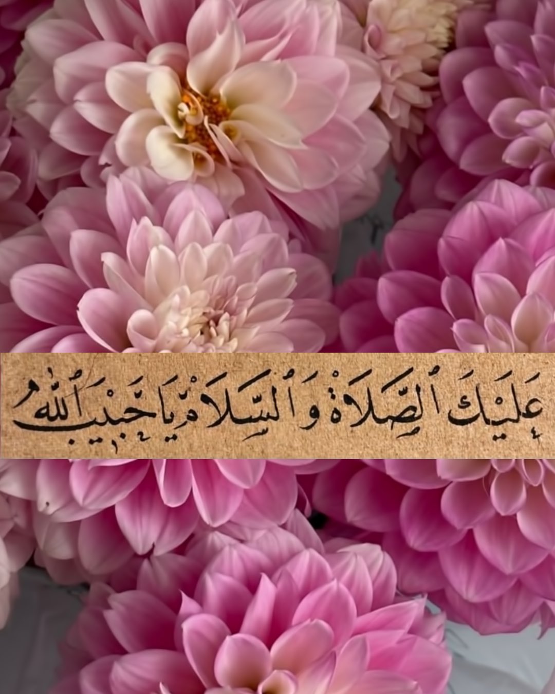 صورة