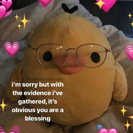 WholesomeMeme's tweet photo. https://t.co/AuHVWvMwNG
