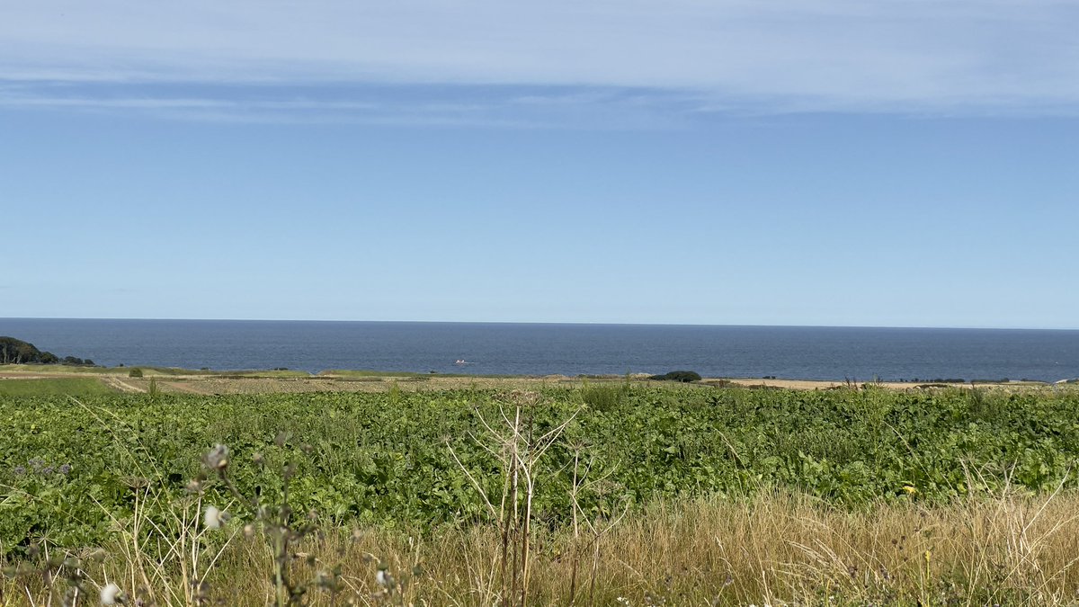 ForTheDram's tweet photo. Pretty stunning coastal location for @KingsbarnsDist 👌🏻

#whiskydistillery #singlemalt #whisky #singlemaltwhisky #kingsbarn https://t.co/WbWCA3mH35