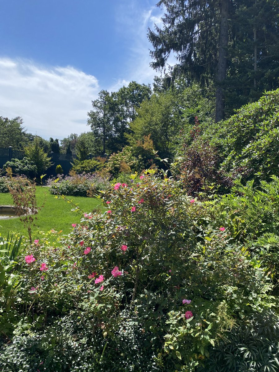 Closing out August in splendor at the DCA. 

The formal gardens are still  blooming and the colors are stunning as summer slowly starts to fade away. 

We look forward to welcoming everyone back to the DCA with our fall programming!